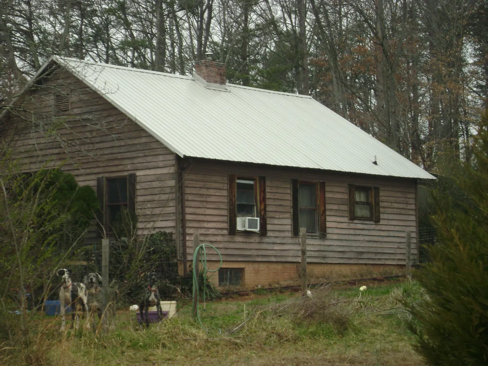 White metal roof on an old wood sided farmhouse, from a Asphalt Shingle Roof Repair job in Houghton